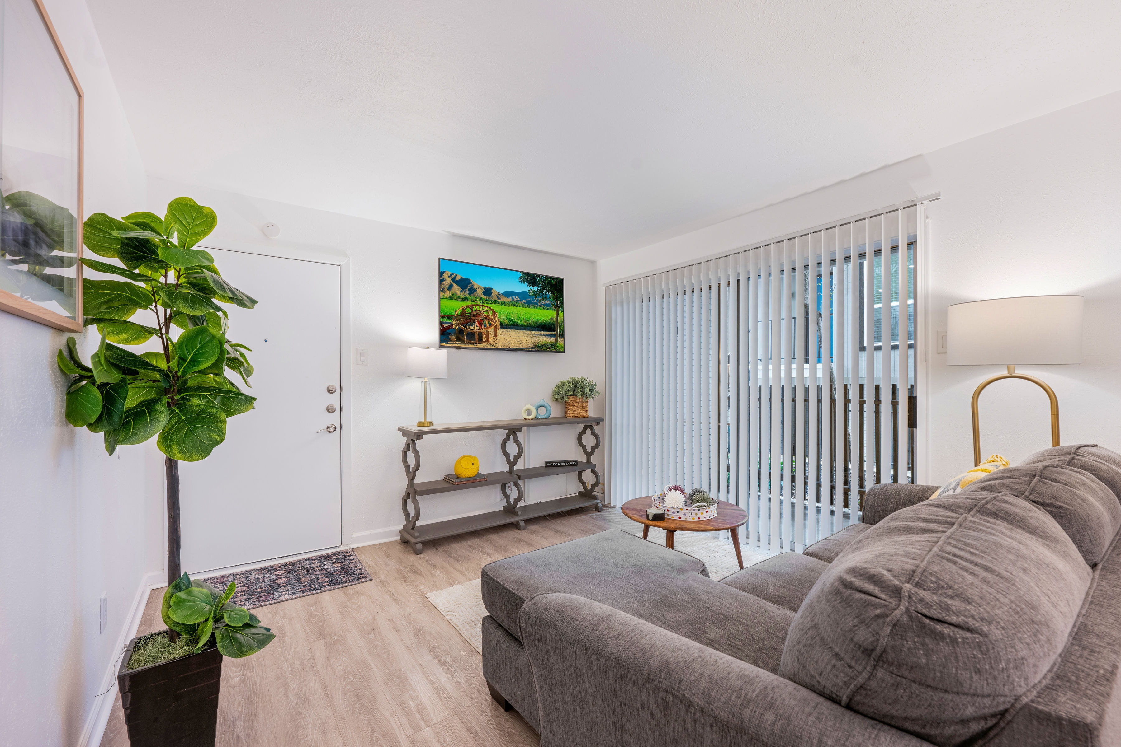 Living room with fiddle leaf fig tree and wall-mounted TV
